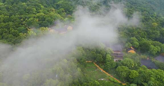 杭州永福寺云雾航拍