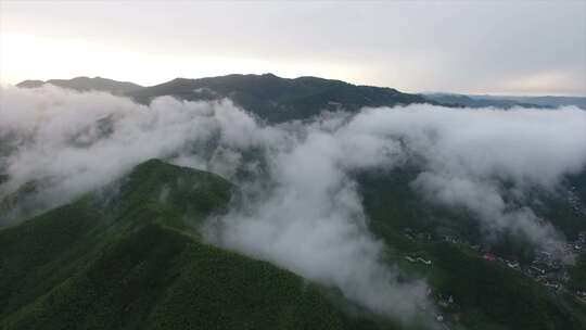 合集德清县莫干山莫邪干将竹林清凉亭裸心堡