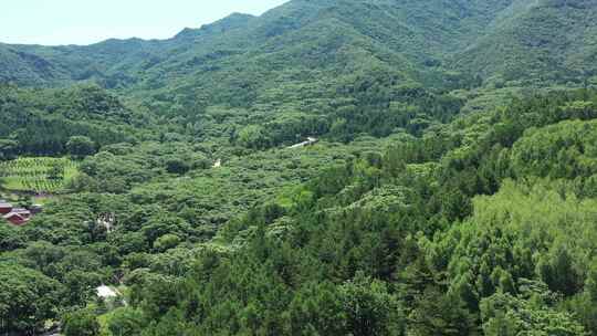 【航拍】风景 坝上绿水青山