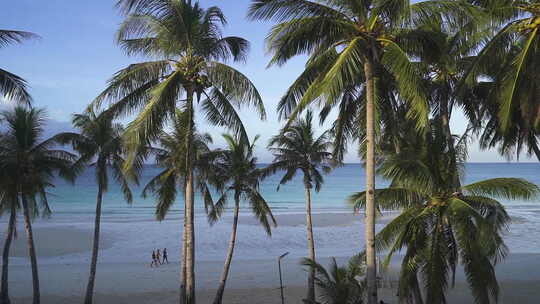 长滩岛清洁海滩棕榈树的高角度拍摄