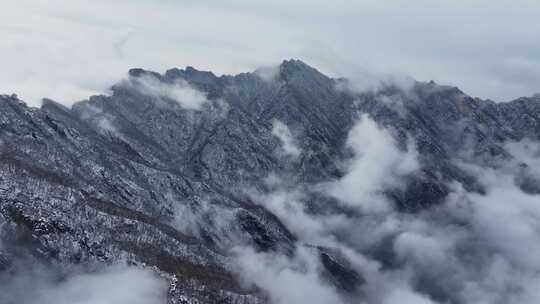 高山雪后云海航拍