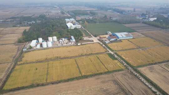 稻米水稻农田农业工厂环绕视频素材模板下载