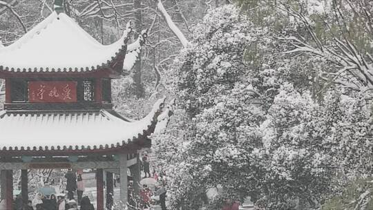 航拍城市风光长沙雪景古建筑爱晚亭雪景