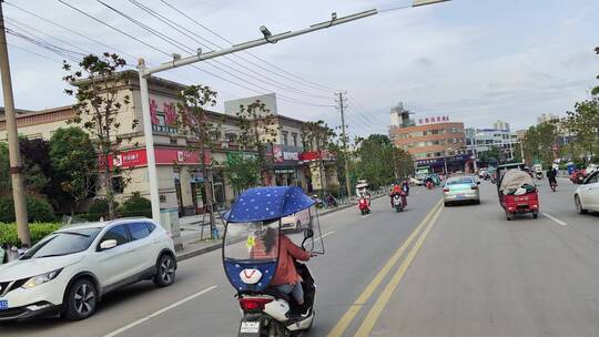 城市道路建筑春天花草树木商铺店面马路汽车