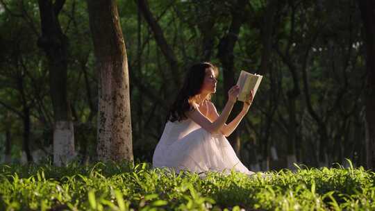 女孩坐在树下看书的全身剪影