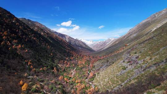 川西康定秋天的山谷航拍