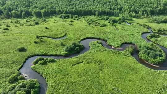 航拍森林湿地曲折的河湾