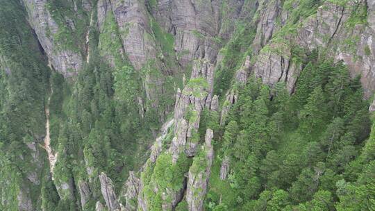 航拍湖北神农架5A景区神农谷