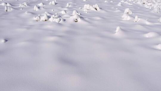 雪地 雪景 雪球视频素材模板下载