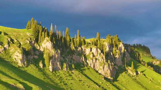 新疆百里画廊草原雪山