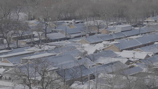 北方农村冬天 农村冬天 屋顶积雪