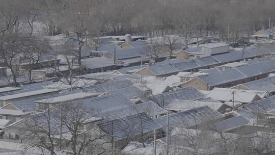 北方农村冬天 农村冬天 屋顶积雪视频素材模板下载