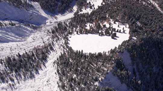 意大利阿尔卑斯山冬季白雪皑皑的山谷，松树林地，空中