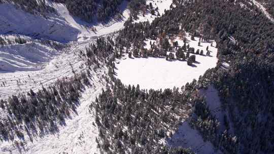 意大利阿尔卑斯山冬季白雪皑皑的山谷，松树林地，空中视频素材模板下载