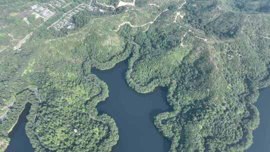 惠州市惠城红花湖景区航拍森林山川湖泊风景