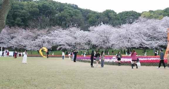 春天公园春暖花开