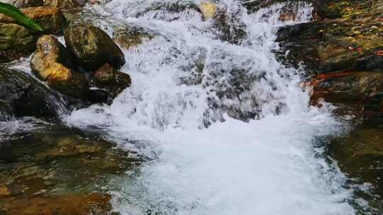 自然小溪流水山泉水花急流