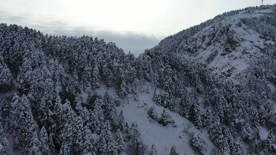 航拍湖北神农架风景区冬季雪山冰雪风光雪景