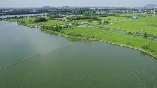 河流湖景乡村农田