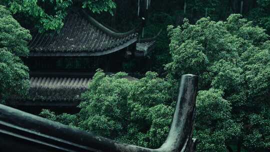 杭州雨景