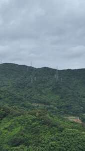 竖屏航拍广东深圳龙华区城市交通