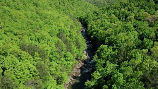 航拍绿树环绕岩石河视频素材模板下载