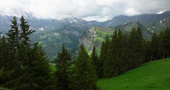 瑞士，山，绿色，风景