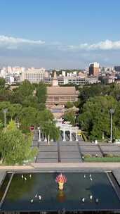 竖屏航拍甘肃张掖大佛寺历史文化古建筑