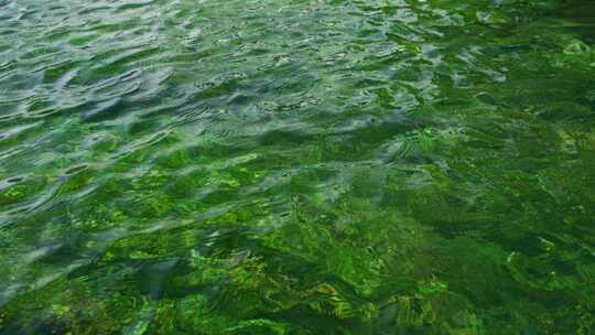 小河溪水水草水底