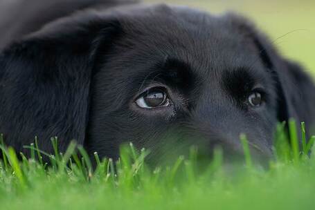 跳跃街头 活泼 民谣 庭院 宣传片 微 跳跃街头 活泼 民谣 庭院 宣传片 微