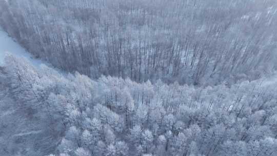 航拍林海雪原雾凇阳光