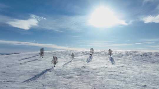 唯美雪原美景 水墨丹青画卷