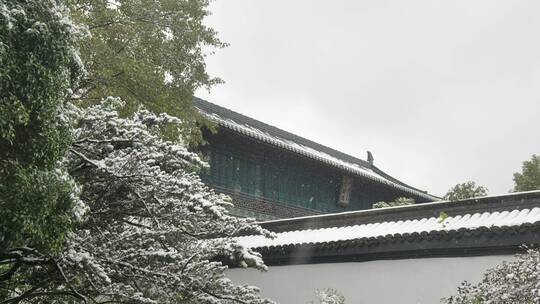 杭州冬天雪景