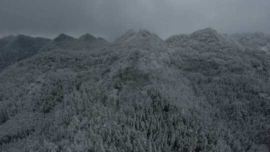 fpv穿越机航拍森林雾凇雪景溪流自然树林