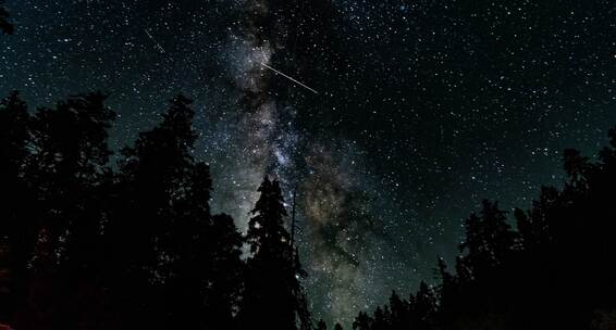 香格里拉普达措森林星空银河延时摄影