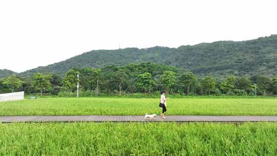 中国广东省广州市从化艾米稻香小镇