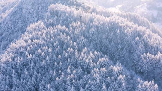 4k航拍恩施雪山雾凇风光