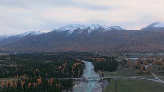 航拍新疆喀纳斯河秋景