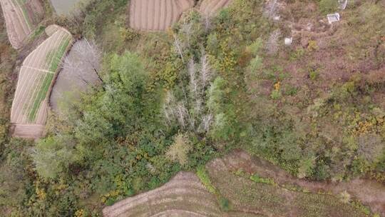 航拍湖北黄冈浠水县农村建设