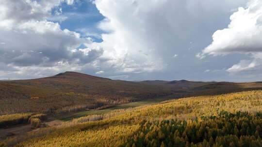 大兴安岭森林秋季风景航拍