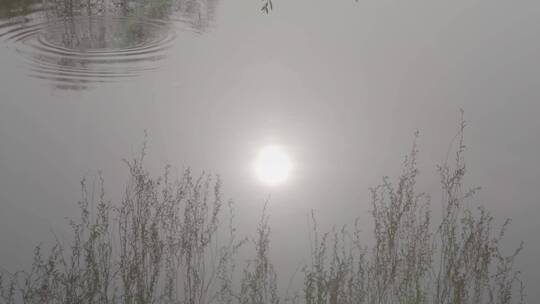 水面太阳倒影LOG