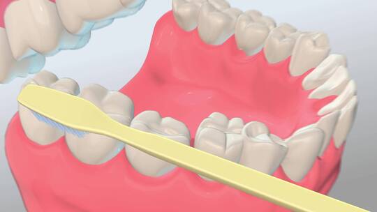 三维牙齿刷牙