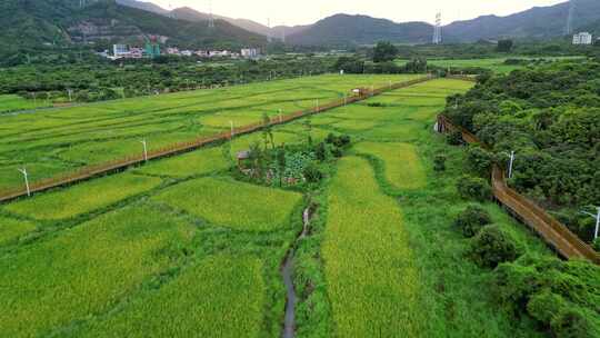 乡村田野风光鸟瞰全景