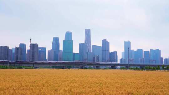 杭州城市高楼大厦与麦田高铁同框风景慢镜头