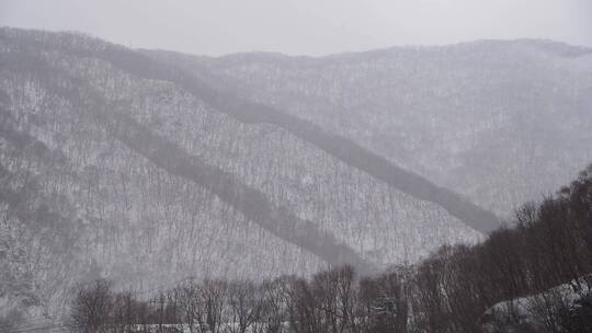 漫天飞雪大雪封山