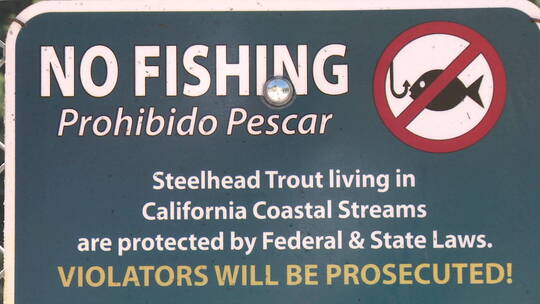 禁止捕鱼标志