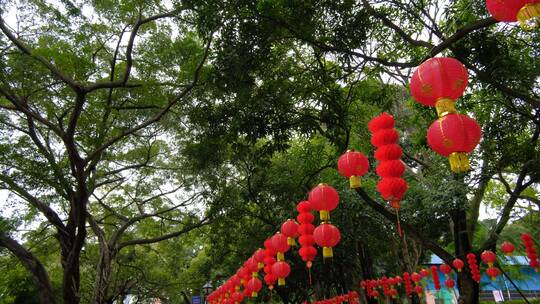 春节红灯笼祈福许愿树