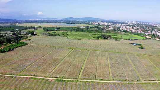 航拍居住小区楼盘