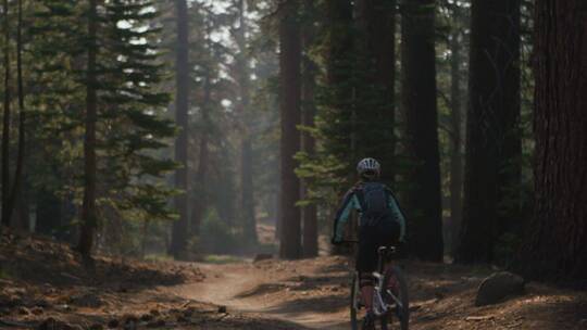 山地自行车手在森林里骑行