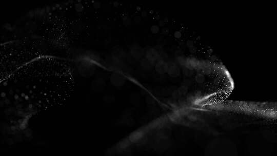 黑色背景粒子特效素材